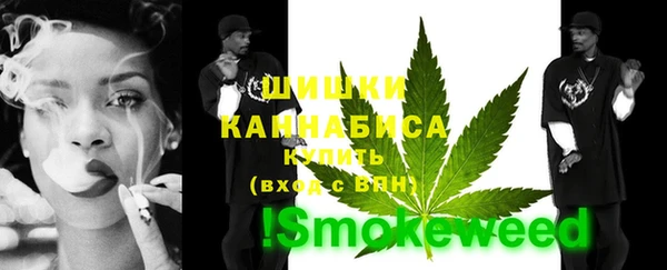 дживик Аркадак