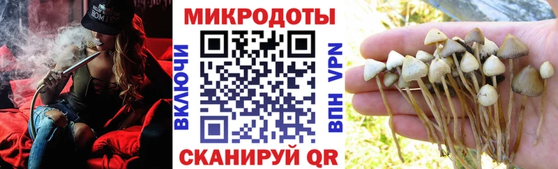 дарнет шоп  Нязепетровск  Галлюциногенные грибы Psilocybe 